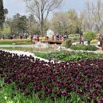 Emirgan Park (Emirgan Korusu)