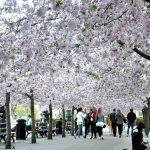 Casela Nature & Leisure Park