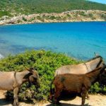 Eşek Island, Çeşme Eşek Island, Çeşme