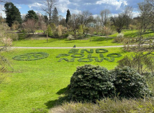 Botanischer Garten Rombergpark
