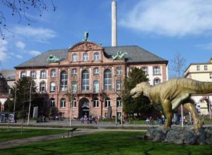 Naturmuseum Senckenberg, Frankfurt