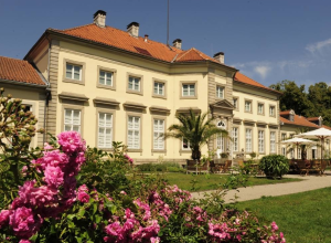 Wilhelm Busch Museum, Hanover