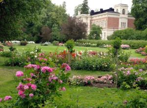 Hatanpää Arboretum, Tampere
