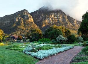 Table Mountain National Park