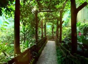 Kuala Lumpur Butterfly Park